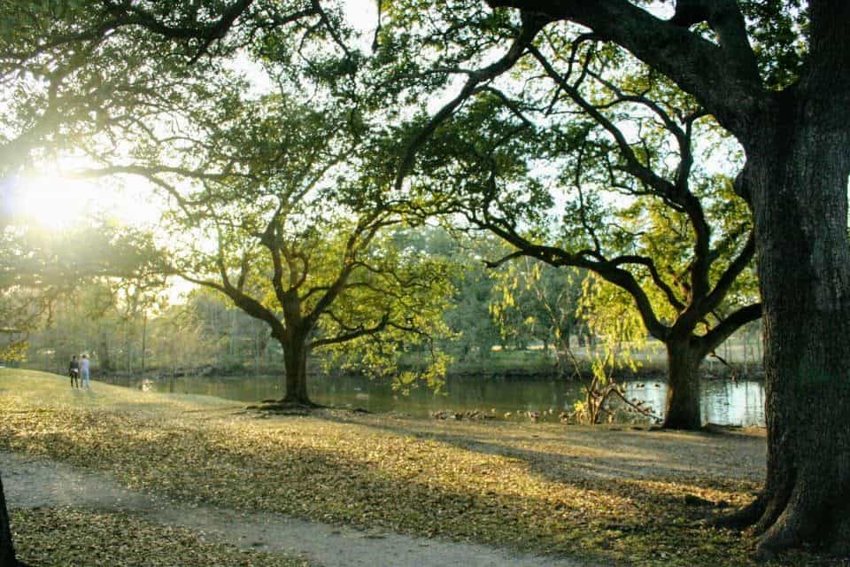 Beyond Mardi Gras in New Orleans