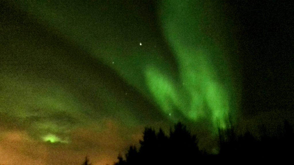 Northern Lights Minibus Tour with Trips Iceland in october