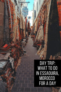 things to do in essaouira, marocco (1)