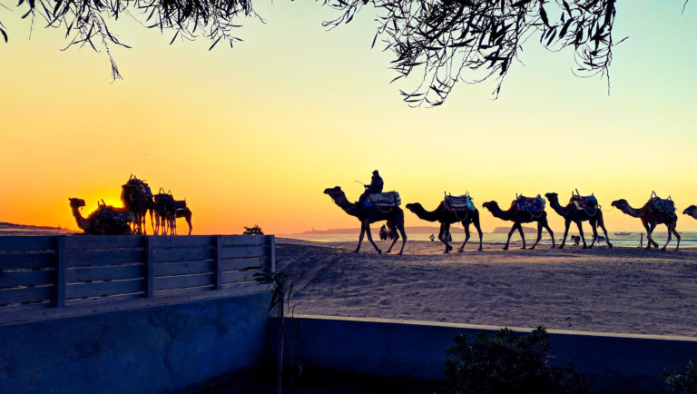 things to do in essaouira, marocco
