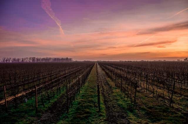 champagne-day-tours-from-paris