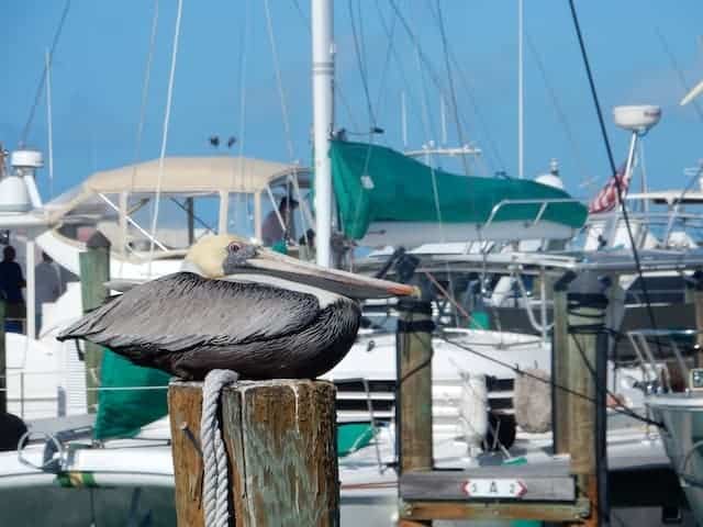 key west bachelorette party