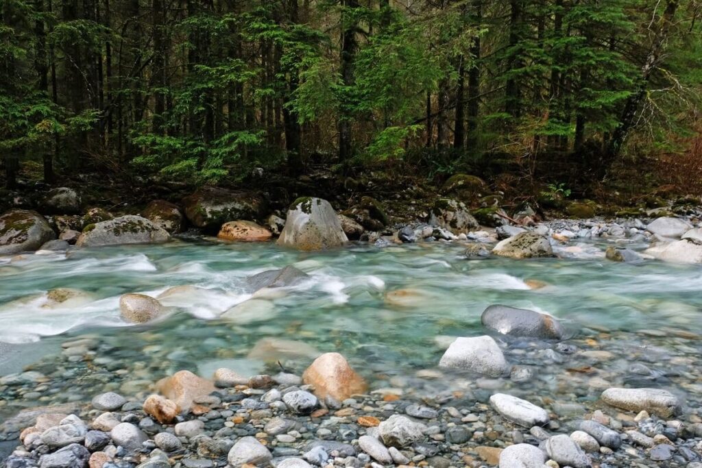 North Vancouver view of stream near forest running over smooth rocks