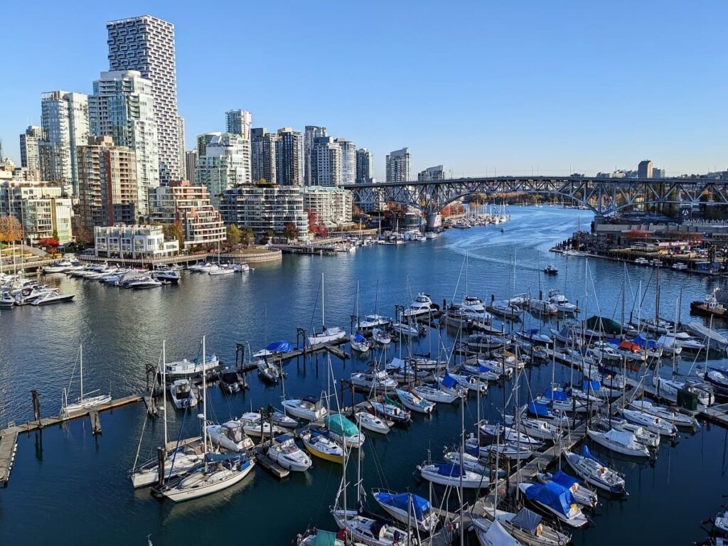 view of boats in harbor