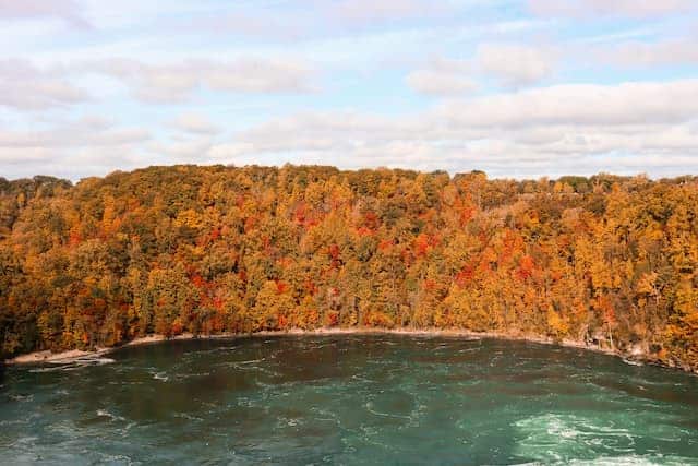 fall trees in niagara new york