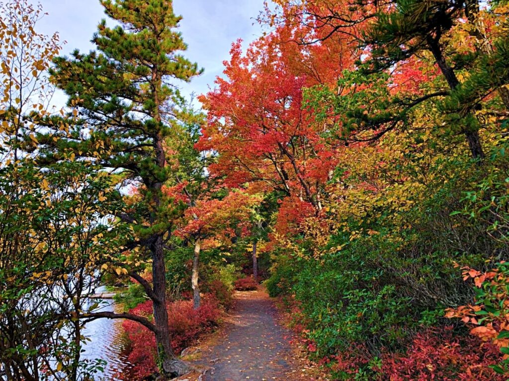 Hudson Valley