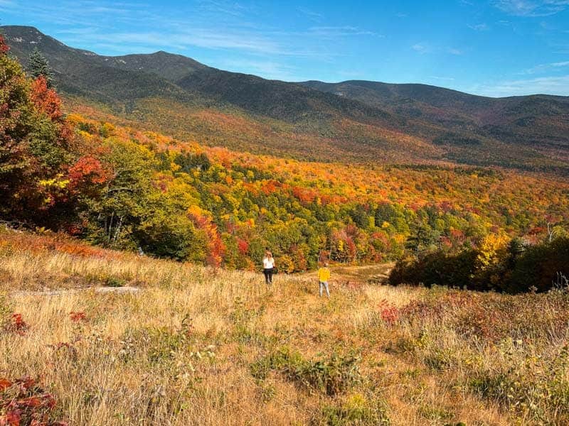 White Mountains