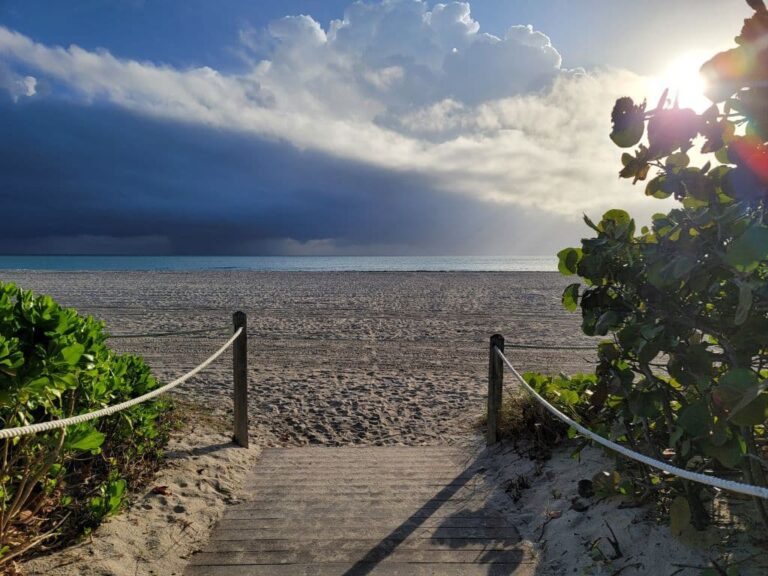 one day in miami florida