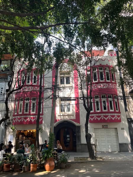 trees overhead in front of pink and white building in mexico