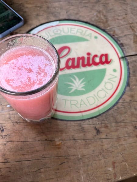 glass of pink pulque next to coaster that reads Canica in red letters