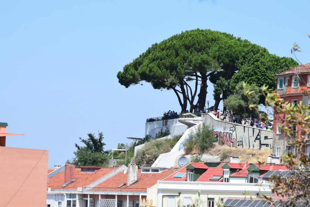 Elevated viewpoint covered with lush pine trees surrounded by graffiti-decorated concrete structures. Tourists gather at the scenic lookout point with colorful rooftops below and a bright blue sky above.
