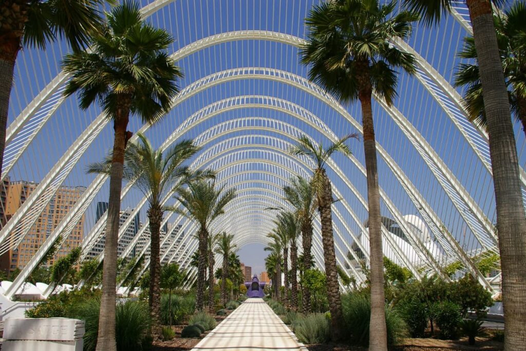 walkway in Valencia covered by arches and flanked by palm trees on each side