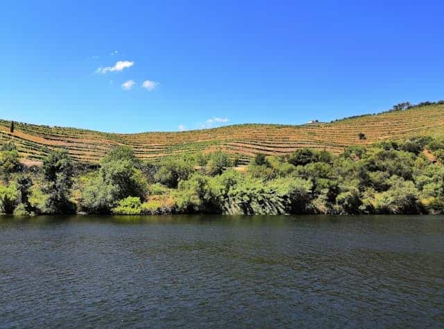 View of Vineyards in Duoro Valley Portugal