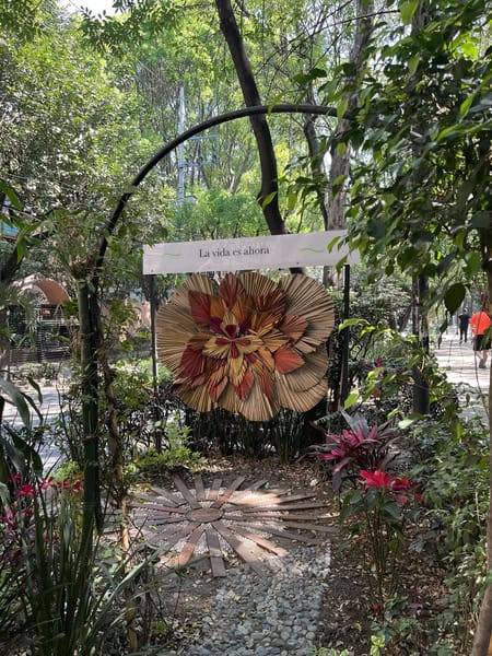 tree covered area with a flower sign that says la vida es ahora (life is now)