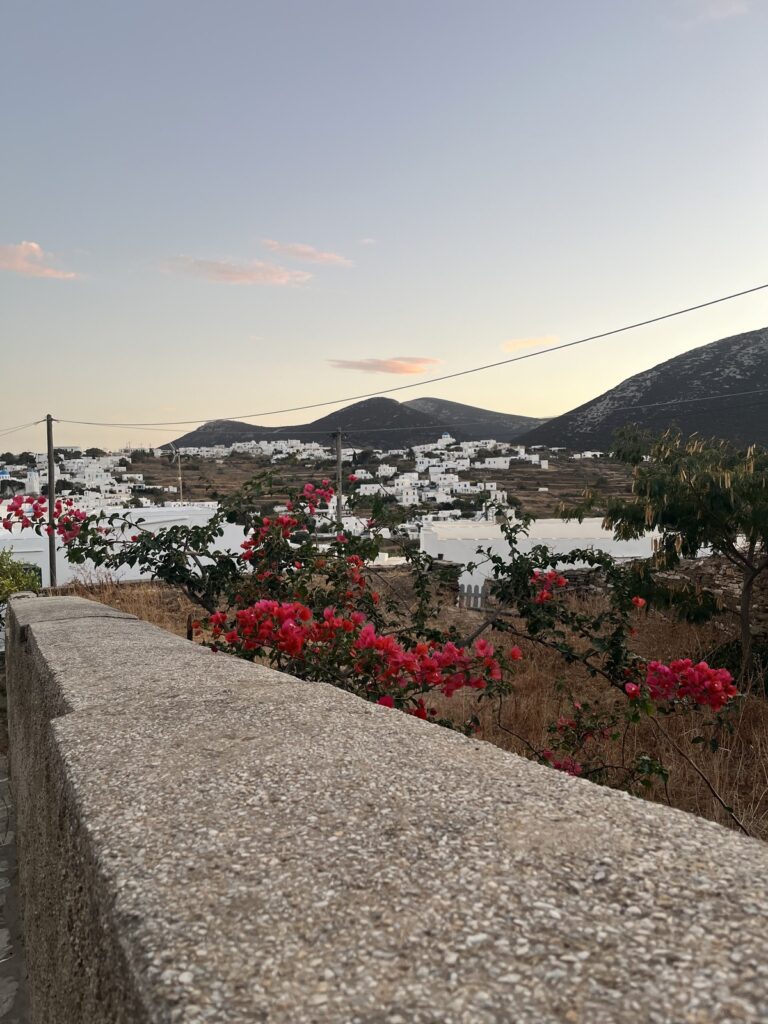 Sifnos Greece at sunset, view of pink flowers in the foreground, mountains and whitewashed buildings in the background