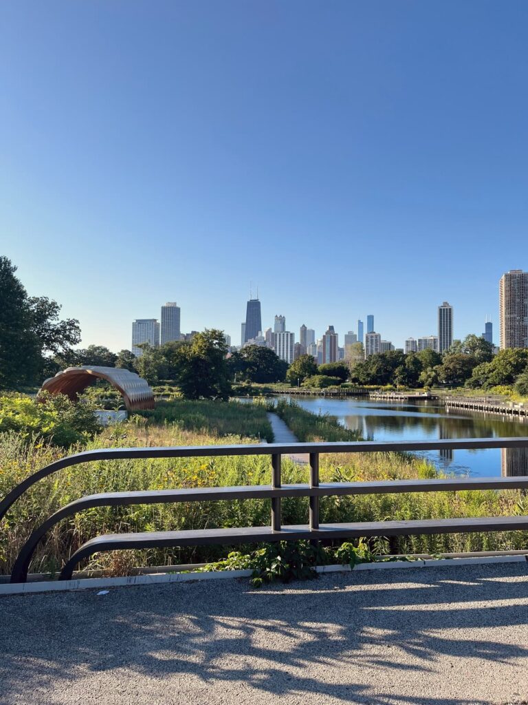 A scenic view of the Chicago skyline from the Lincoln Park boardwalk, with a pond reflecting the buildings and a curved wooden pavilion on the left, surrounded by tall grass and wildflowers under a clear blue sky.