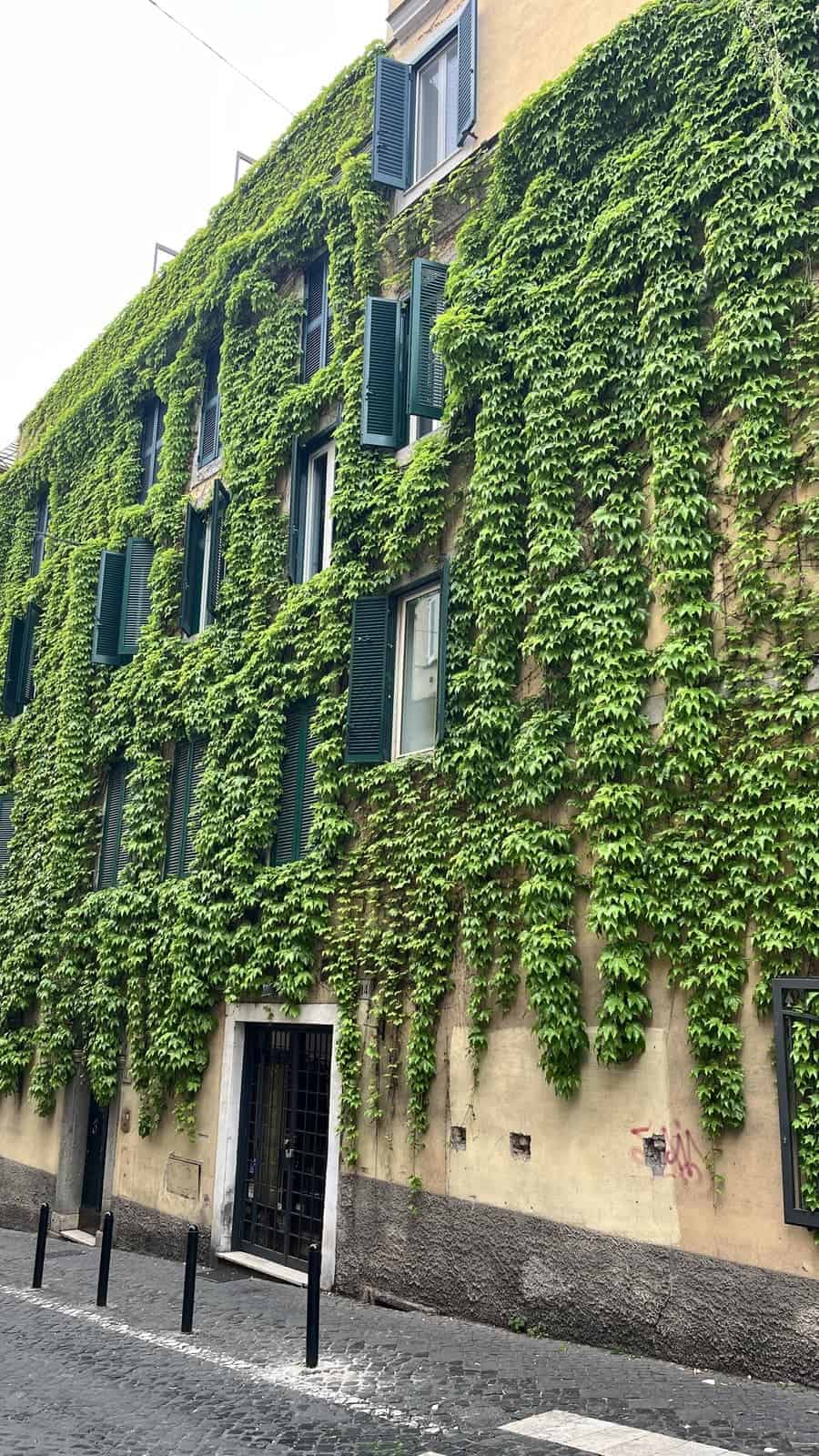 A historic building in Rome is almost entirely covered in lush green ivy, with dark green shutters opened along several windows. The vine-covered façade lines a quiet cobblestone street, creating a striking contrast between nature and classic architecture.