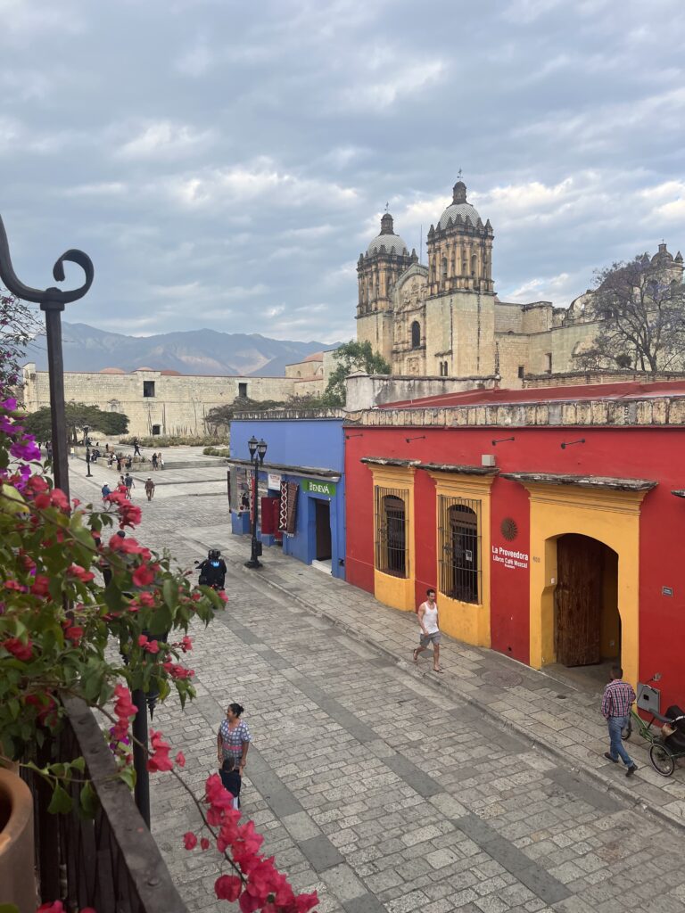 An elevated view looks over Oaxaca's cobblestone streets toward the impressive Santo Domingo church, framed by colorful blue, red, and yellow colonial buildings. Pink bougainvillea flowers in the foreground add a vibrant touch beneath dramatic, cloud-filled skies.